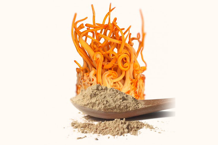 Blend Mellow Vitality -  60g